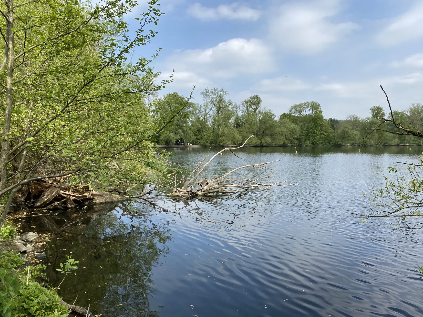 Reale Stadtansicht von Heiligenhaus – Abtskücher Teich